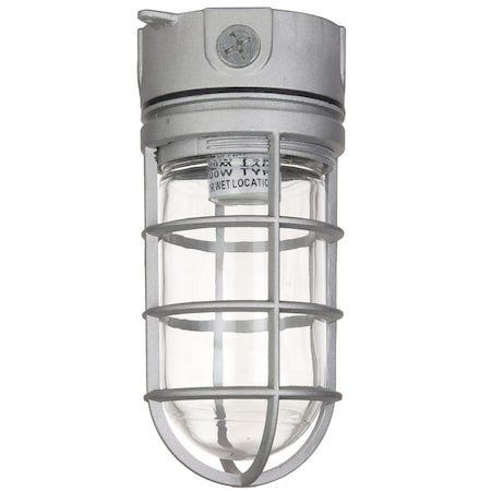 Sunlite Jar Fixture, Ceiling Mount, Socket E26, 100W Max, 120 Volt, Outdoor, Clear Glass Jar, Metallic 41329-SU
